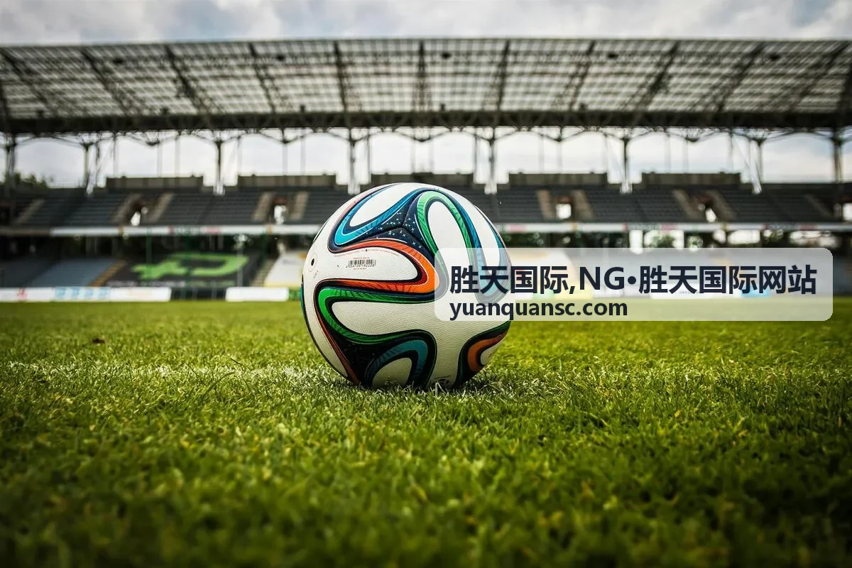 胜天国际业务总览封面图